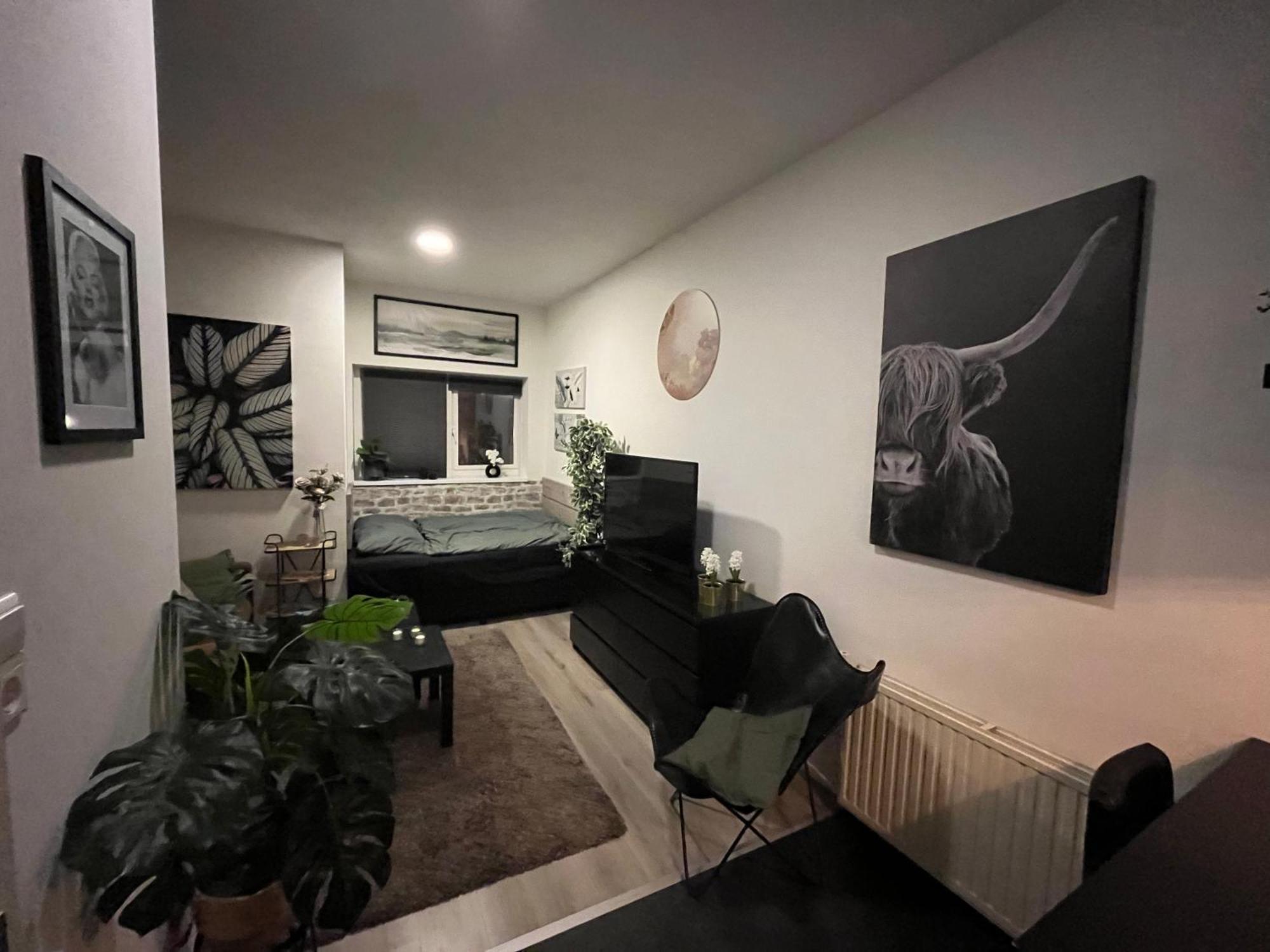 Studio E Пюрмеренд Экстерьер фото